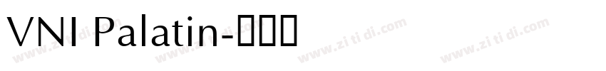 VNI Palatin字体转换